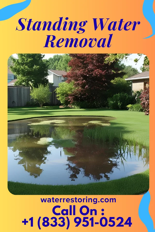 Standing Water Removal in Oktaha, OK